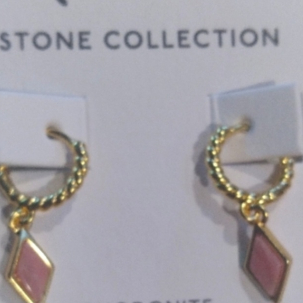 ✨️Madewell✨️Stone Collection Rhodonite  Small Hoops 💥💥 - Picture 8 of 8